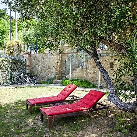 Antica Dimora Palinuro Bed & Breakfast Centola