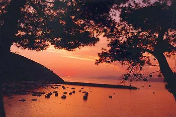 B&B Antica Dimora Palinuro